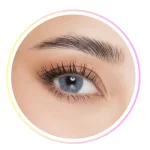 Contact Lenses